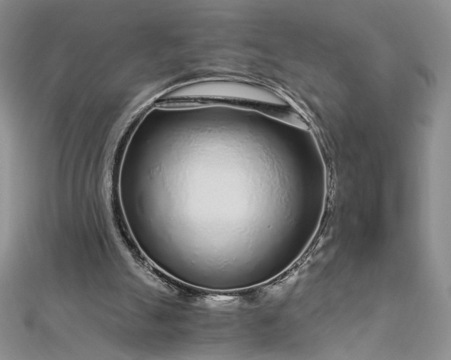 X0000112880055200909041649