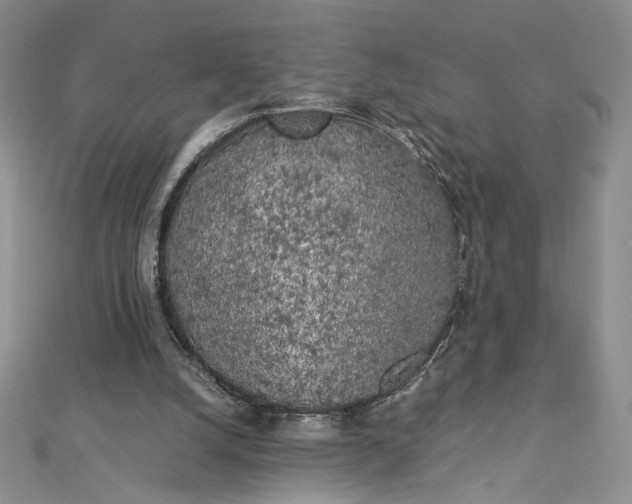 X0000112880056200909041649