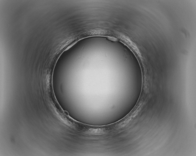 X0000112880057200909041649