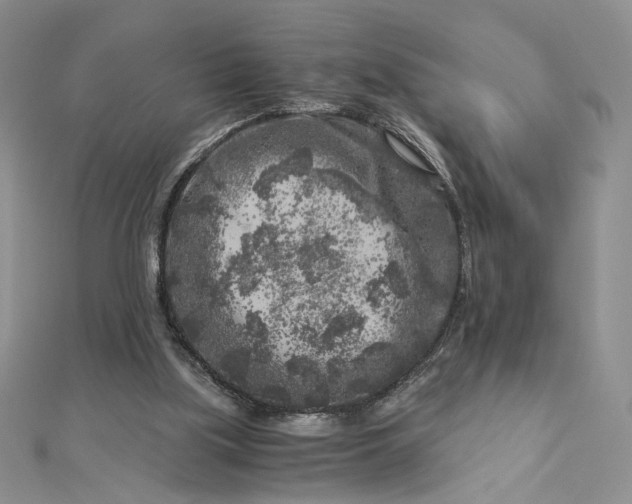 X0000112880059200909041649