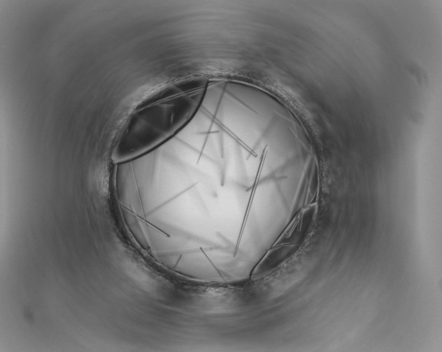 X0000112880060200909041649