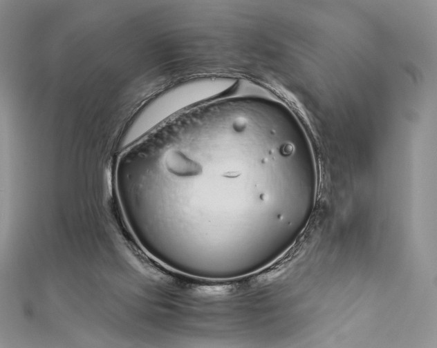 X0000112880061200909041649