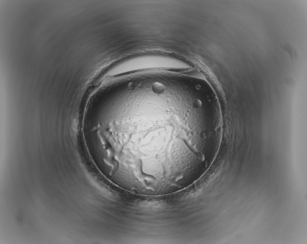 X0000112880063200909041649