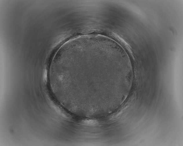 X0000112880067200909041649