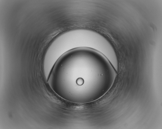 X0000112880068200909041649