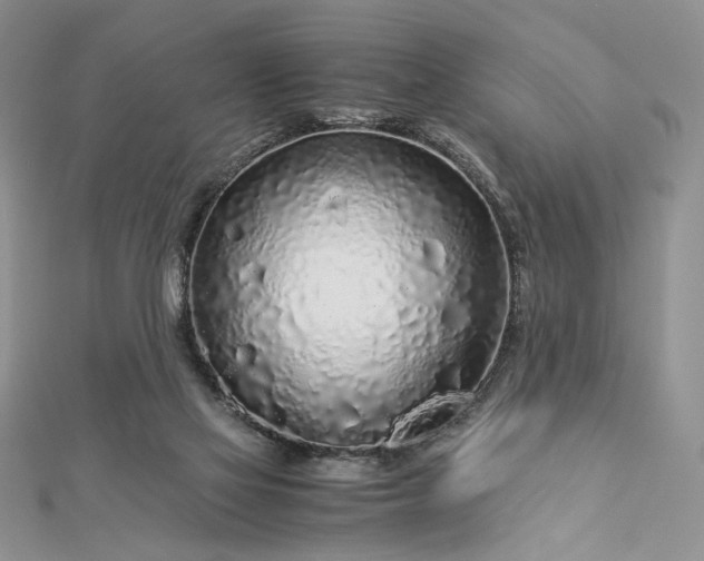 X0000112880069200909041649