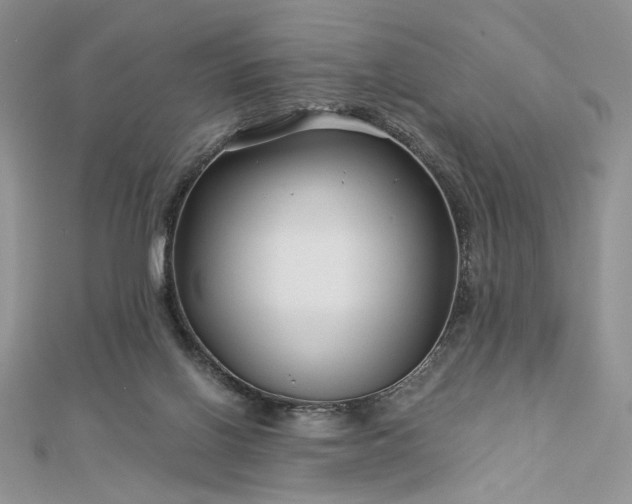 X0000112880070200909041649