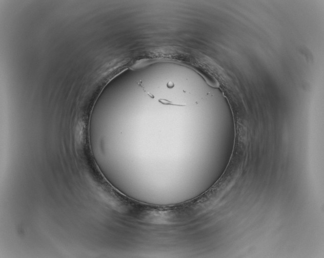 X0000112880071200909041649