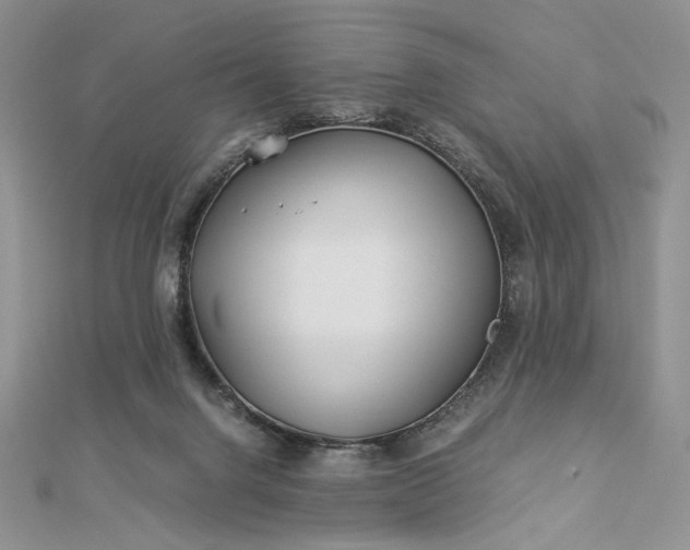 X0000112880072200909041649