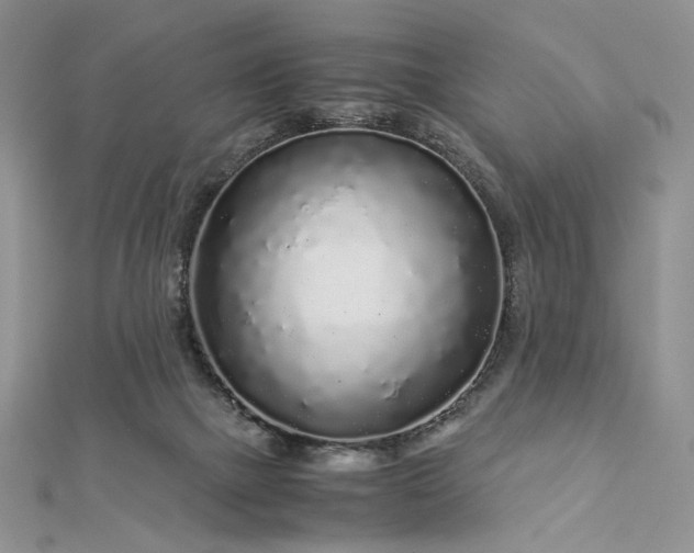 X0000112880073200909041649