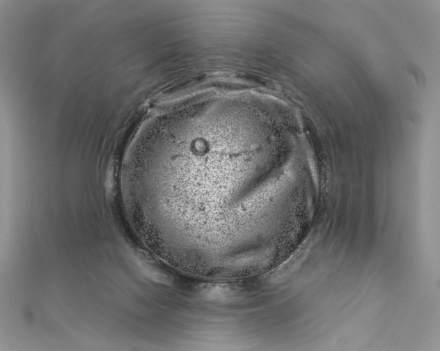 X0000112880074200909041649