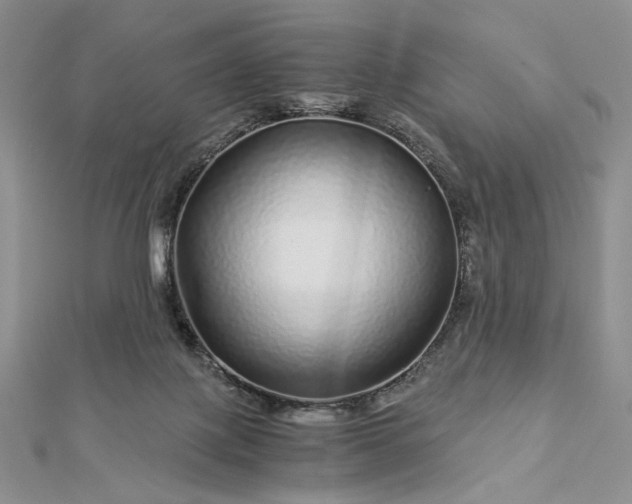 X0000112880075200909041649