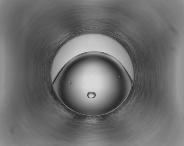 X0000112880076200909041649