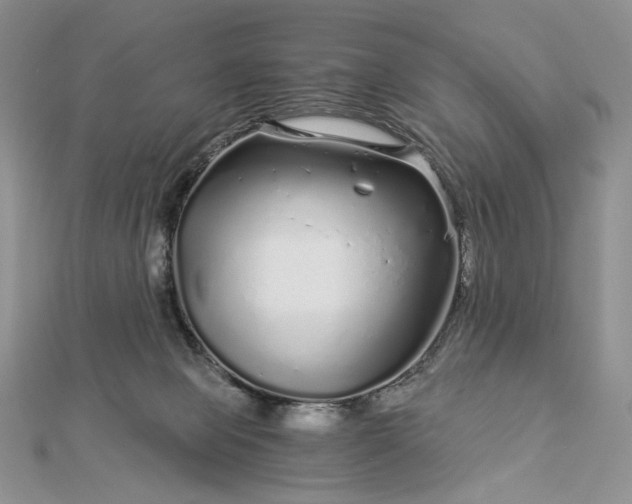 X0000112880077200909041649