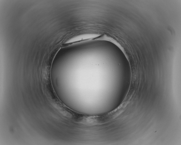 X0000112880078200909041649