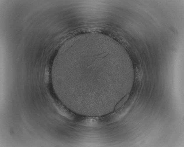 X0000112880080200909041649