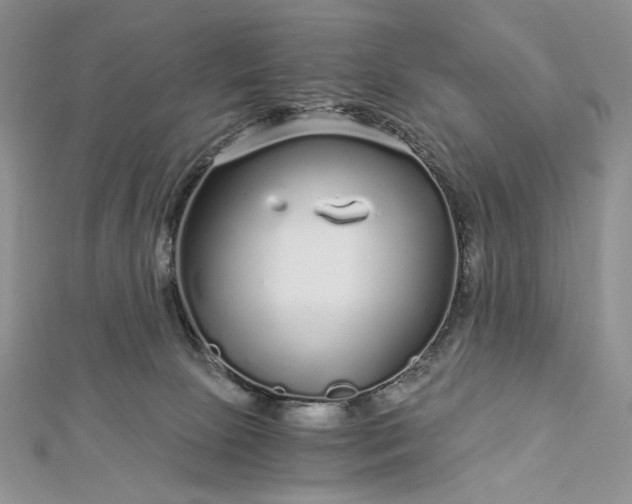 X0000112880081200909041650