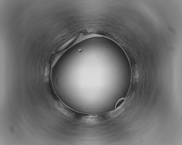 X0000112880082200909041650