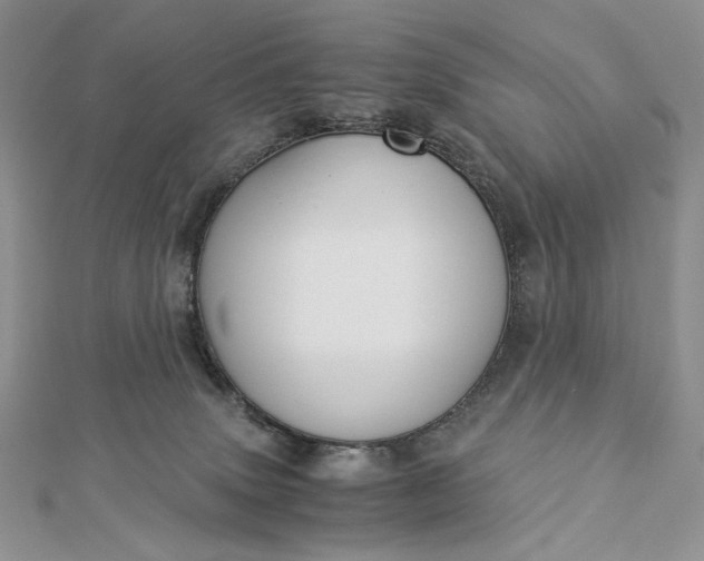 X0000112880083200909041650