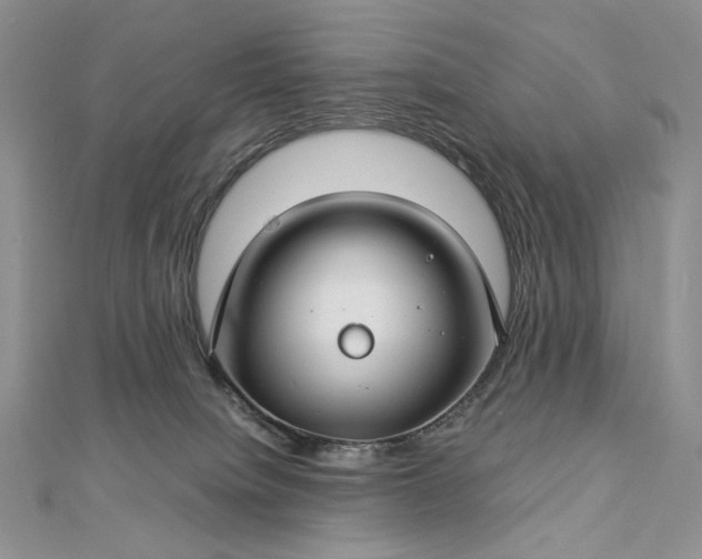 X0000112880084200909041650