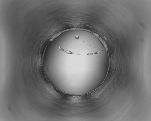 X0000112880085200909041650