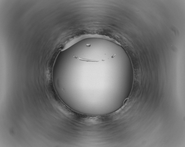 X0000112880086200909041650