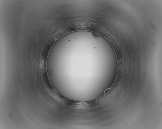 X0000112880087200909041650