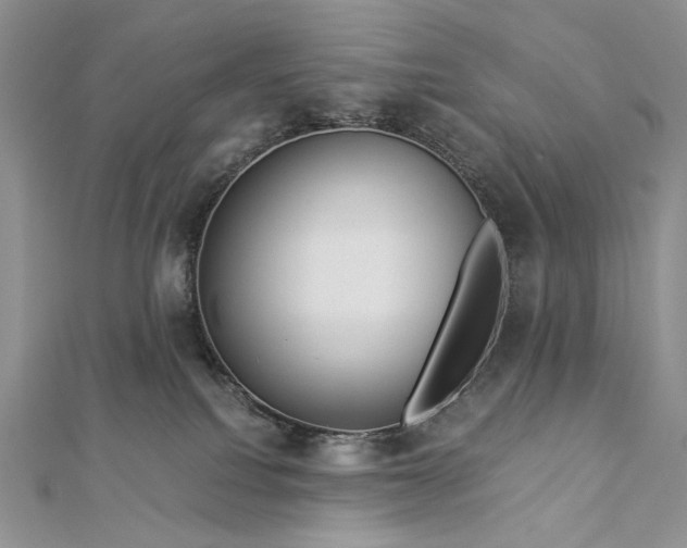 X0000112880088200909041650