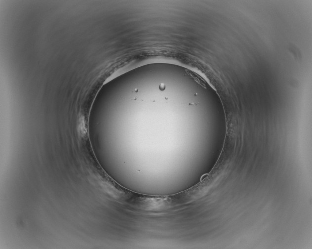 X0000112880089200909041650