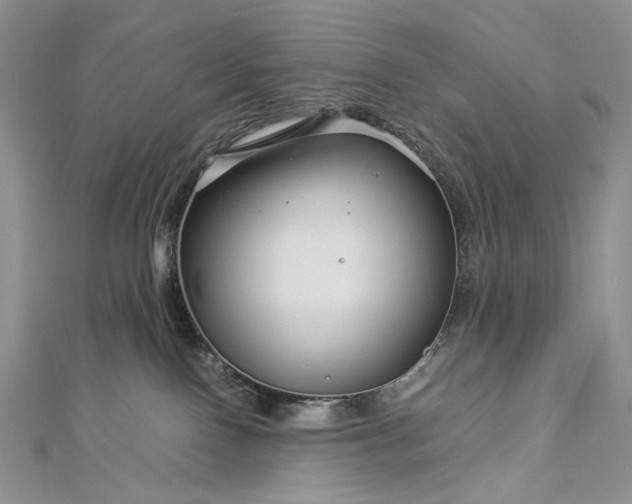 X0000112880090200909041650