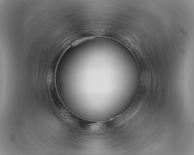 X0000112880092200909041650