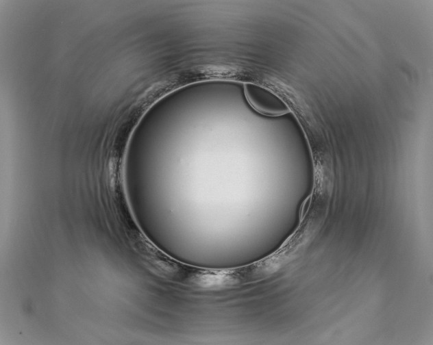 X0000112880093200909041650