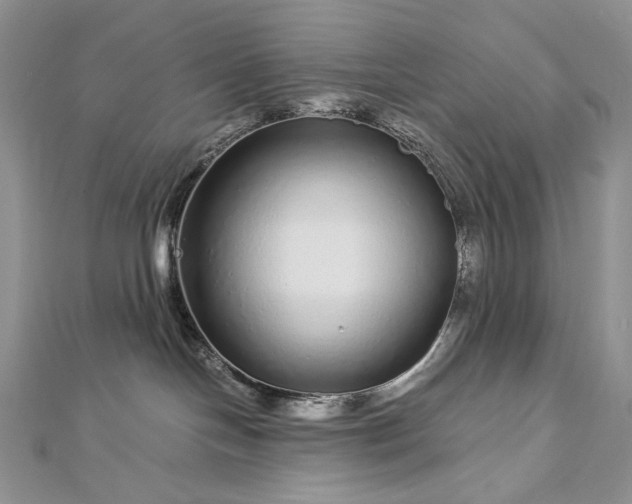 X0000112880094200909041650