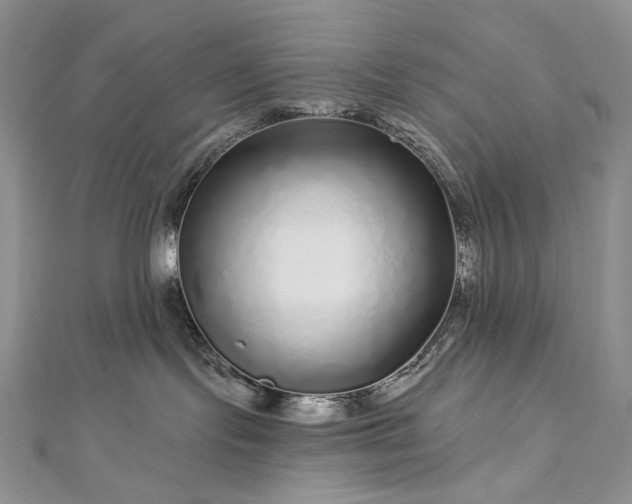 X0000112880095200909041650