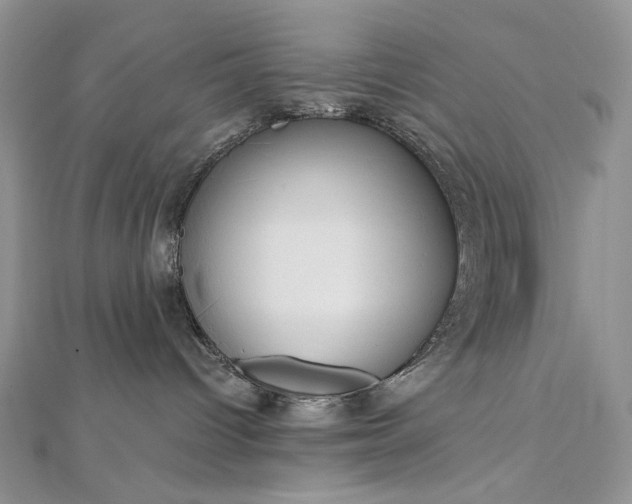 X0000112880096200909041650