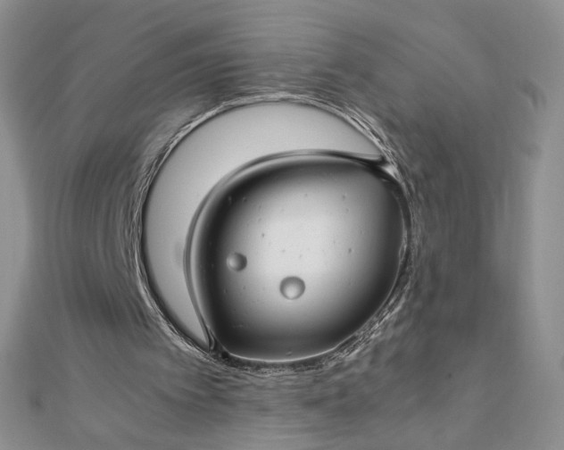 X0000112880097200909041649