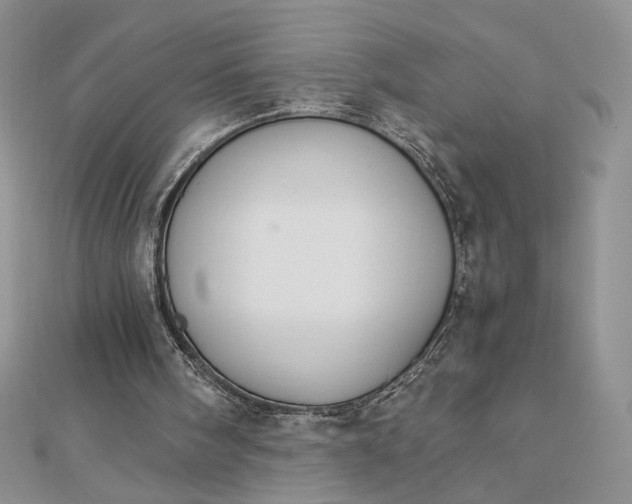 X0000112880098200909041649