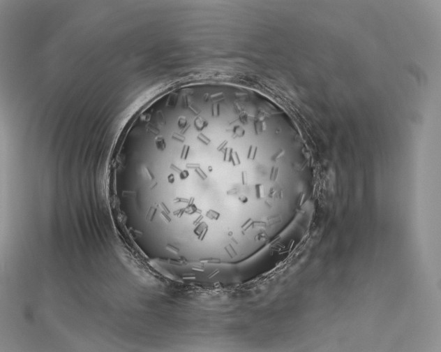 X0000112880100200909041649