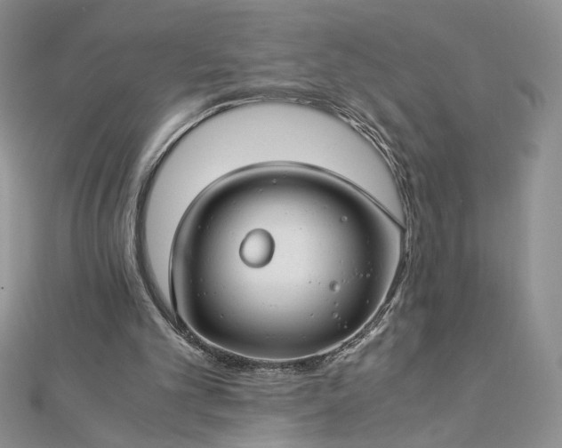 X0000112880101200909041649