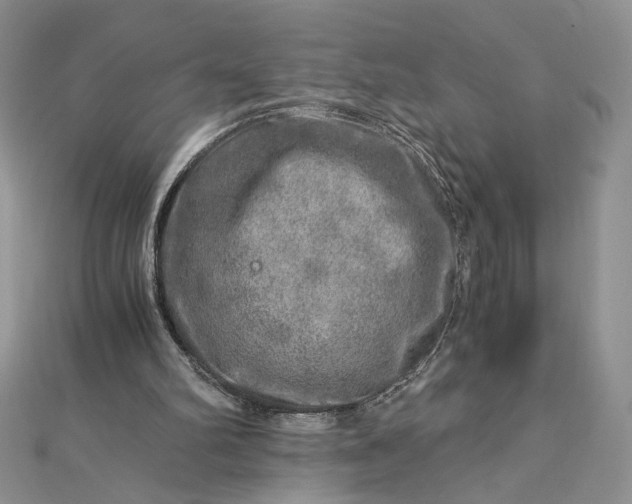 X0000112880102200909041649