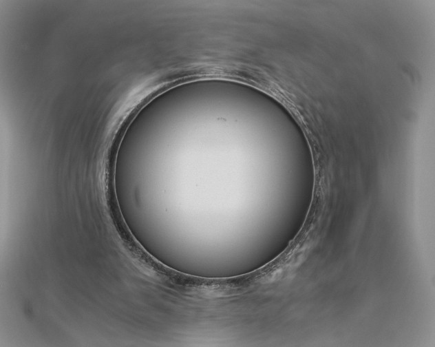 X0000112880103200909041649