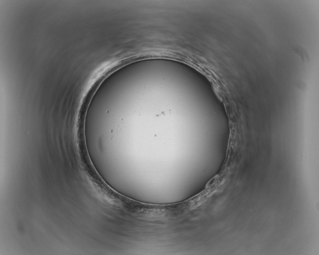 X0000112880104200909041649