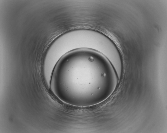 X0000112880105200909041649