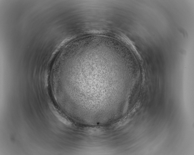 X0000112880106200909041649