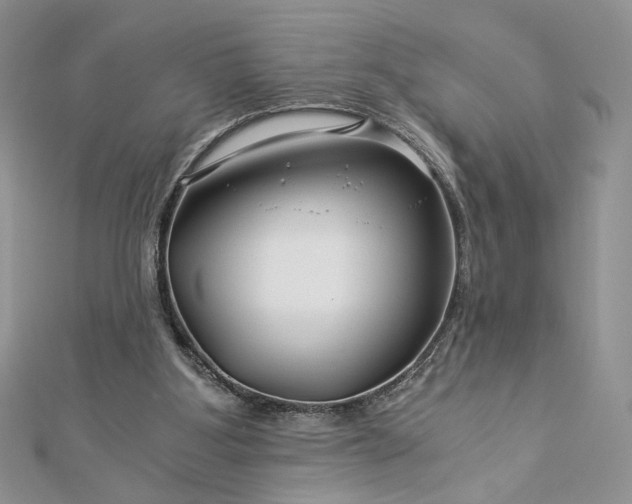 X0000112880107200909041649