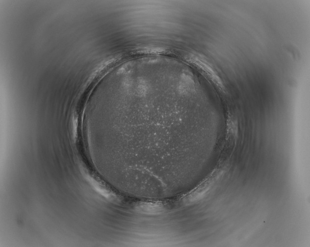 X0000112880110200909041649