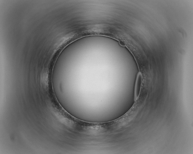 X0000112880112200909041649