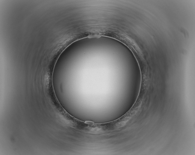 X0000112880113200909041649