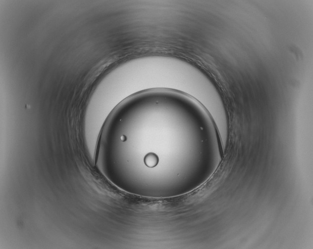 X0000112880116200909041649