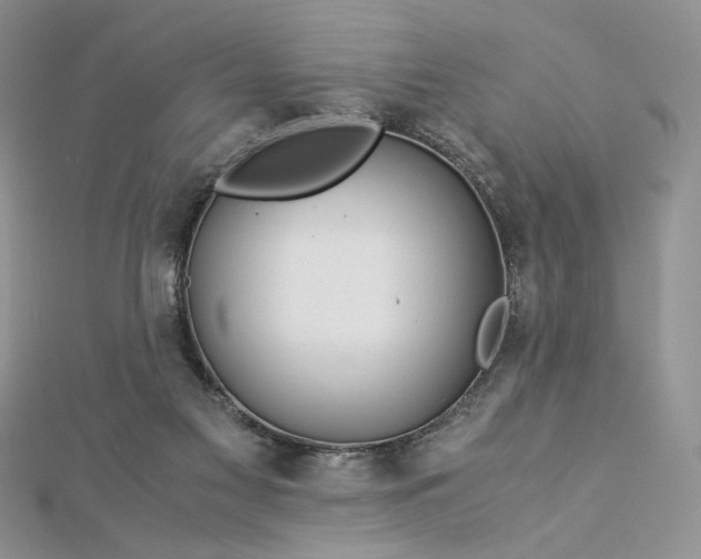 X0000112880117200909041649